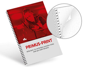 Blocs-notes scolaires basic 