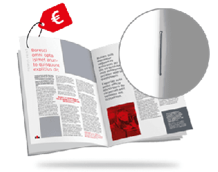 Brochures avec dos agrafé (agrafes simples) budget 