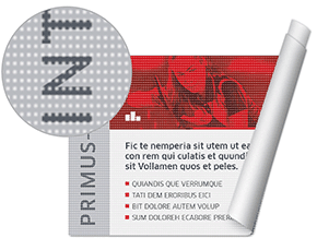 Adhésifs microperforés pour vitrines 