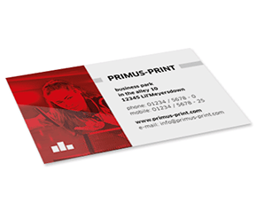 Cartes de visite standard 