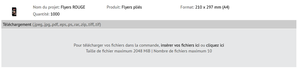 Téléchargement des données d’impression PRIMUS